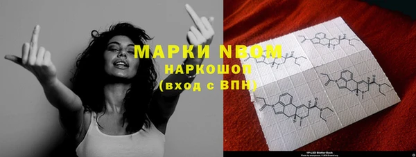 крисы Армянск