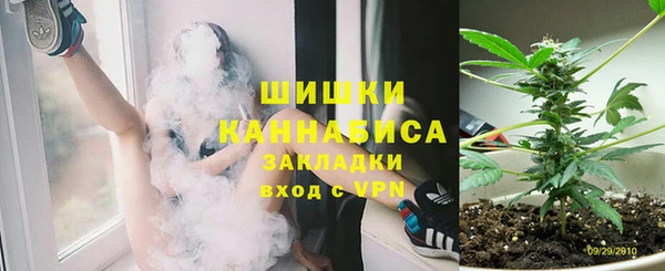 крисы Армянск
