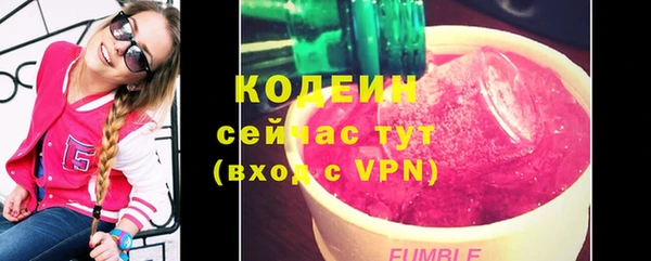 крисы Армянск